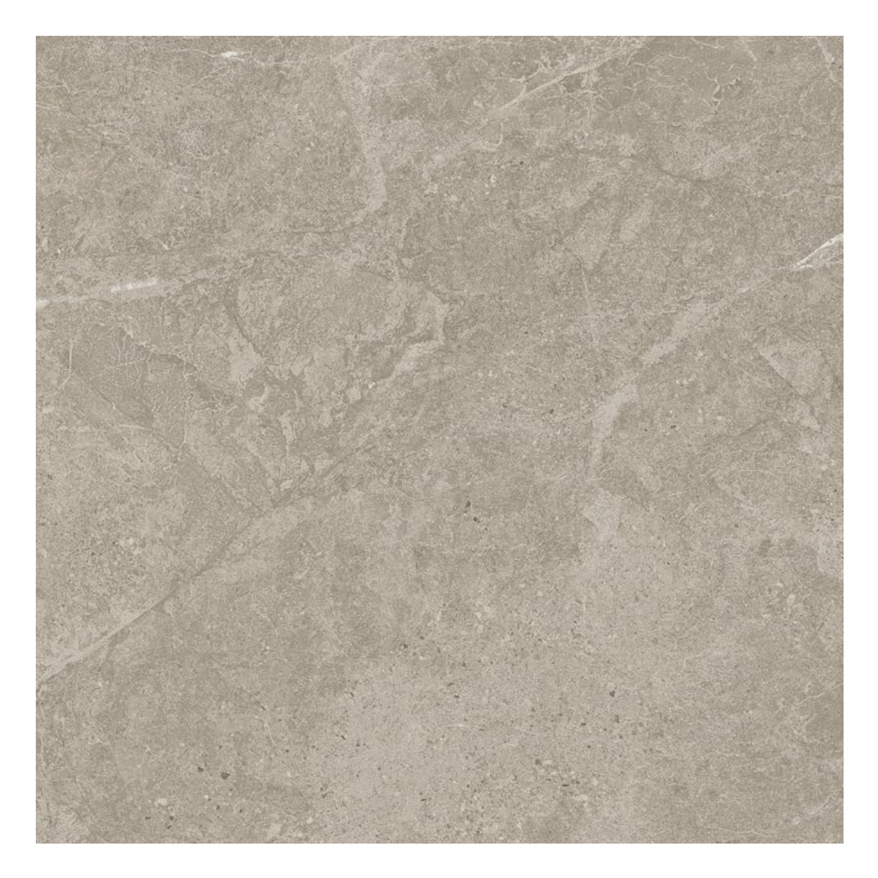 Atlas Concorde Solution Duolith Fossil Vloertegel 60x60 cm